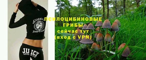 МДПВ Абдулино