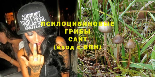 бошки Абаза