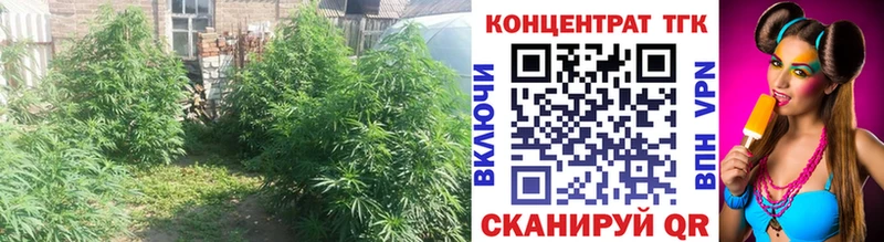 Дистиллят ТГК Wax  darknet наркотические препараты  Дзержинск 